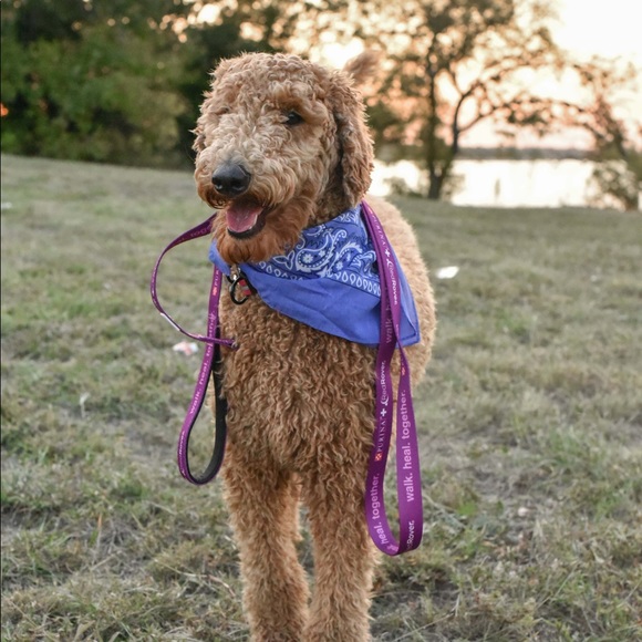 Meet your Posher, Jonathan - Picture 1 of 1